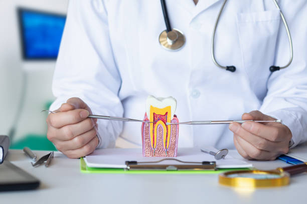 Best Chipped Tooth Repair Near Me  in Holtville, CA